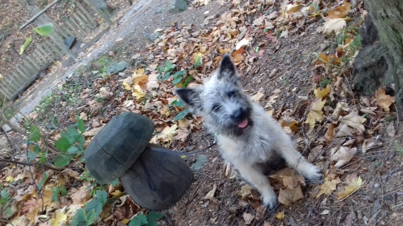 20181030_130937_resized_20190305_105417072